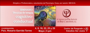 Seminario de técnicas de Terapia Cognitivo Conductual